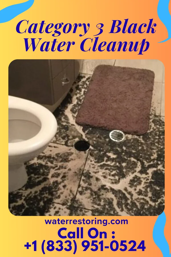 Category 3 Black Water Cleanup in Birchwood, WI